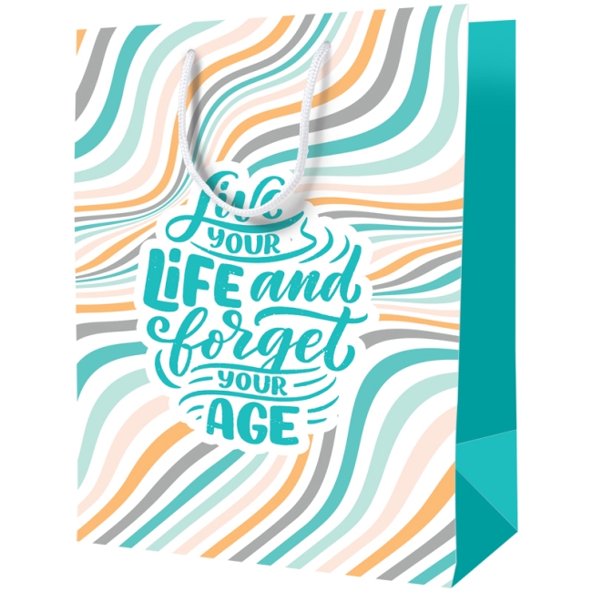 Пакет подарочный 18*23*10см ArtSpace "Forget age", ламинированный