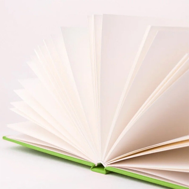 Скетчбук для акварели Малевичъ Veroneze зелёный А5 / 50 листов / 200 гм купить в художественном магазине ArtCraft.Space с доставкой по всему миру