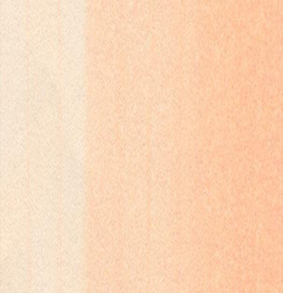 Маркер с кистью Copic Sketch R30 Pale Yellowish Pink / Бледный Желтоватый Розовый поштучно купить в официальном магазине Копик Клаб ArtCraft.Space с доставкой по всему миру