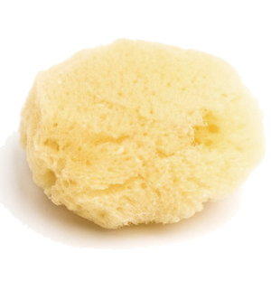 Губка натуральная (спонж для красок) Малевичъ, мелкозернистая, 5х3 см