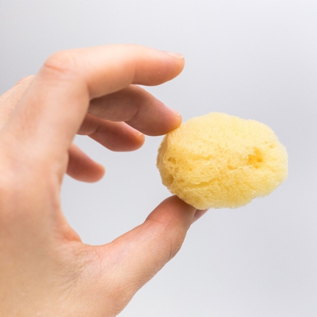 Губка-спонж натуральная морская для акварельной живописи купить в художественном магазине ArtCraft.Space с доставкой по всему миру