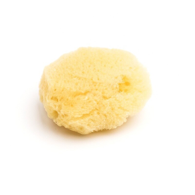 Губка-спонж натуральная морская для акварельной живописи купить в художественном магазине ArtCraft.Space с доставкой по всему миру