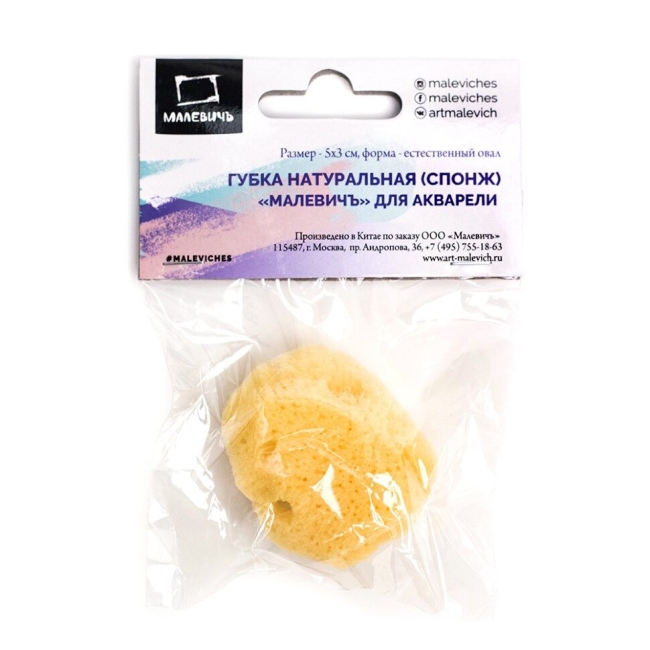 Губка-спонж натуральная морская для акварельной живописи купить в художественном магазине ArtCraft.Space с доставкой по всему миру