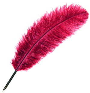 Перо Manuscript гусиное декоративное 27-30см ассорти 3цв. блистер,