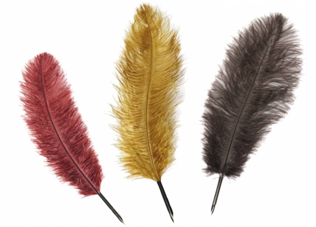 Перо Manuscript Drawing Nib гусиное для каллиграфии 27-30 см разный цвет купить в магазине ArtCraft.Space с доставкой по всему миру