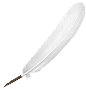 Перо Manuscript гусиное декоративное 27-30см слоновая кость блистер,