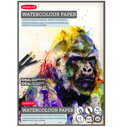 Альбом Derwent Watercolour Paper для акварельных карандашей и акварели А5 / 12 листов / 300 гм купить в магазине товаров для рисования ArtCraft.Space с доставкой по РФ и СНГ
