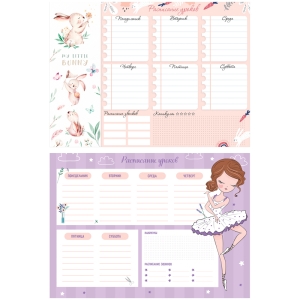 Расписание уроков с расписанием звонков А4 ArtSpace "Пиши-стирай. Cool girl"