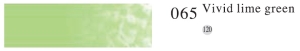 Пастель профессиональная сухая полутвёрдая квадратная цвет № 065 яркий зеленый лайм