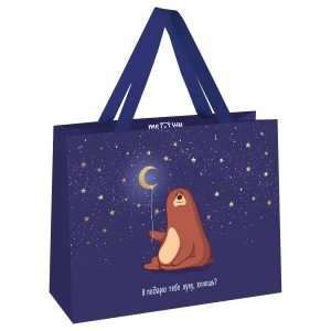 Пакет подарочный 23*18*10см MESHU "Я подарю тебе луну", отд. фольгой, выборочный лак, матовая ламинация