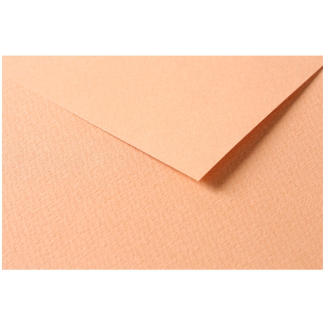 Цветная бумага универсальная Tulipe ClaireFontaine лосось 50х65 см / 25 листов / 160 гм купить в художественном магазине ArtCraft.Space