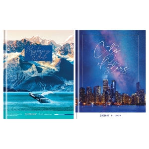 Дневник 5-11 кл. 48л. (твердый) ArtSpace, глянцевая ламинация, тиснение фольгой, МИКС