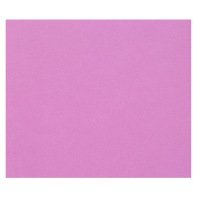 Цветная бумага универсальная Tulipe ClaireFontaine сиреневая  50х65 см / 25 листов / 160 гм купить в художественном магазине ArtCraft.Space