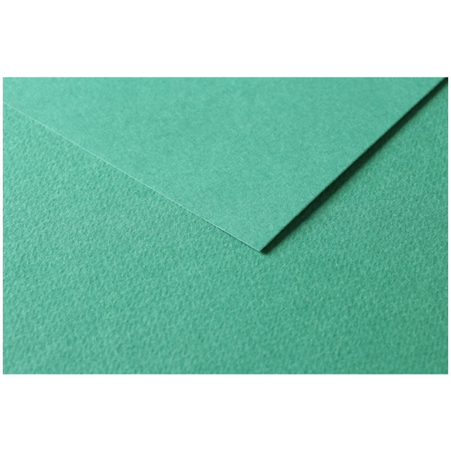 Цветная бумага универсальная Tulipe ClaireFontaine темно-зеленая 50х65 см / 25 листов / 160 гм купить в художественном магазине ArtCraft.Space