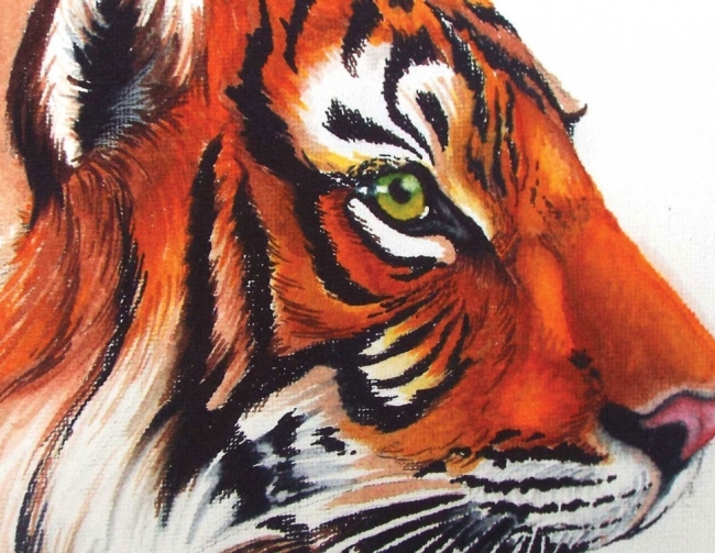 Наборы маркеров из 5 штук "Тёплые тона"