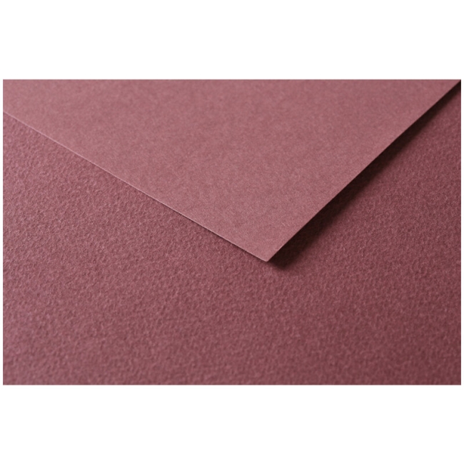 Цветная бумага универсальная Tulipe ClaireFontaine темно-коричневая  50х65 см / 25 листов / 160 гм купить в художественном магазине ArtCraft.Space