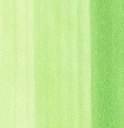 Маркер Copic YG05 Salad / Салатовый поштучно купить в официальном магазине Копик Клаб ArtCraft.Space с доставкой по всему миру