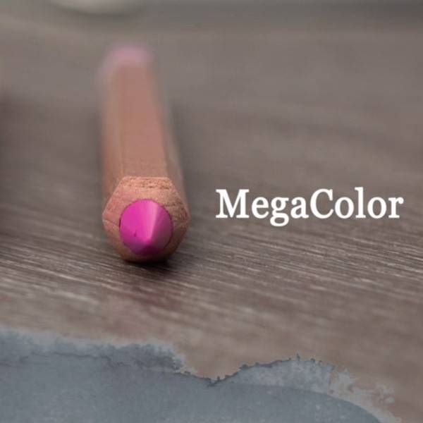 Набор цветных карандашей Cretacolor Megacolor 24 цвета в пенале купить в магазине ArtCraft.Space с доставкой по всему миру