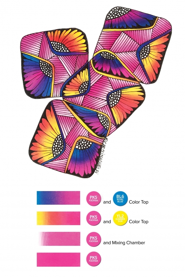 Комплект "Знакомство с Chameleon"