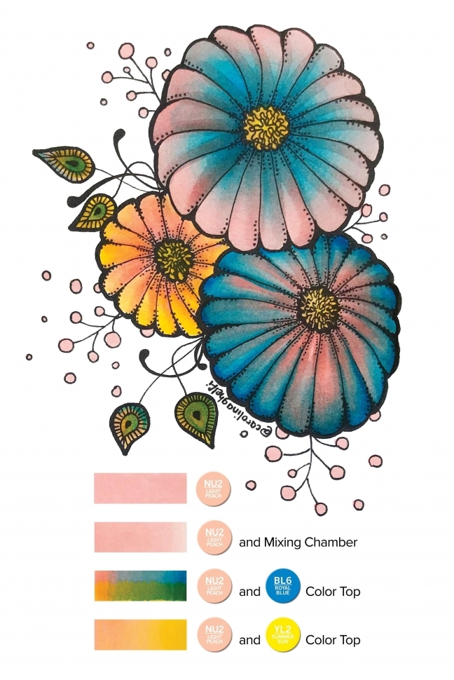 Комплект "Знакомство с Chameleon"