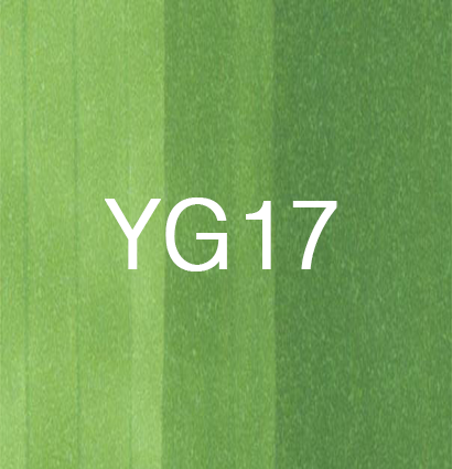 Маркер Copic YG17 Grass Green / Зеленая Трава поштучно купить в официальном магазине Копик Клаб ArtCraft.Space с доставкой по всему миру