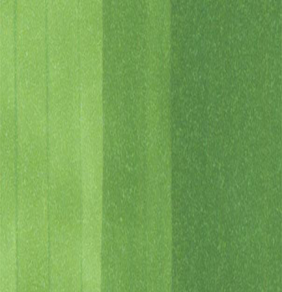 Маркер Copic YG17 Grass Green / Зеленая Трава поштучно купить в официальном магазине Копик Клаб ArtCraft.Space с доставкой по всему миру