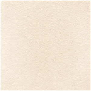 Бумага для акварели 50л. А4 Лилия Холдинг, 200г/м2, молочная, крупное зерно