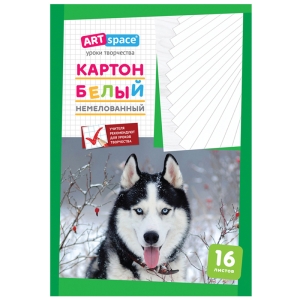 Картон белый А4, ArtSpace, 16л., немелованный, в папке Картон белый А4, ArtSpace, 16л., немелованный, в папке