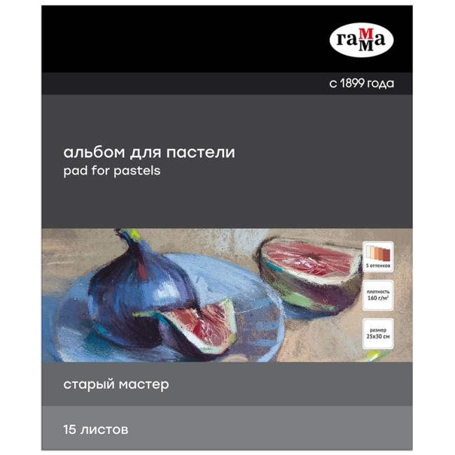 Альбом для пастели, 15л., 250*300мм, на склейке Гамма "Старый Мастер", 160г/м2, ячеистая фактура, 5 цветов, теплые тона Альбом для пастели, 15л., 250*300мм, на склейке Гамма "Старый Мастер", 160г/м2, ячеистая фактура, 5 цветов, теплые тона