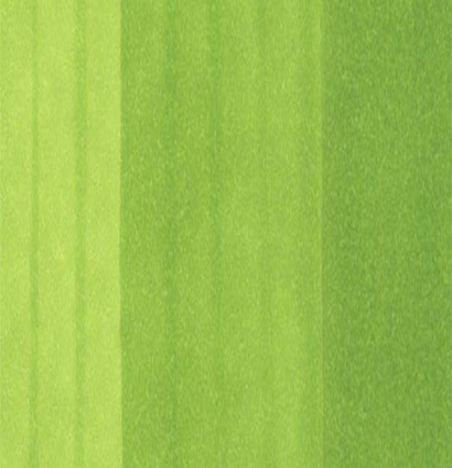 Маркер Copic YG25 Celadon Green / Серовато Зеленый Кобальт поштучно купить в официальном магазине Копик Клаб ArtCraft.Space с доставкой по всему миру