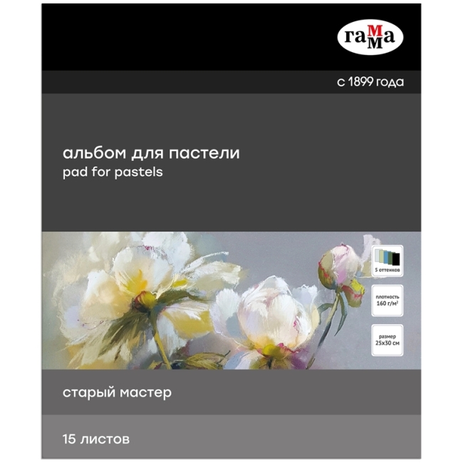 Альбом для пастели, 15л., 250*300мм, на склейке Гамма "Старый Мастер", 160г/м2, ячеистая фактура, 5 цветов, холодные тона Альбом для пастели, 15л., 250*300мм, на склейке Гамма "Старый Мастер", 160г/м2, ячеистая фактура, 5 цветов, холодные тона