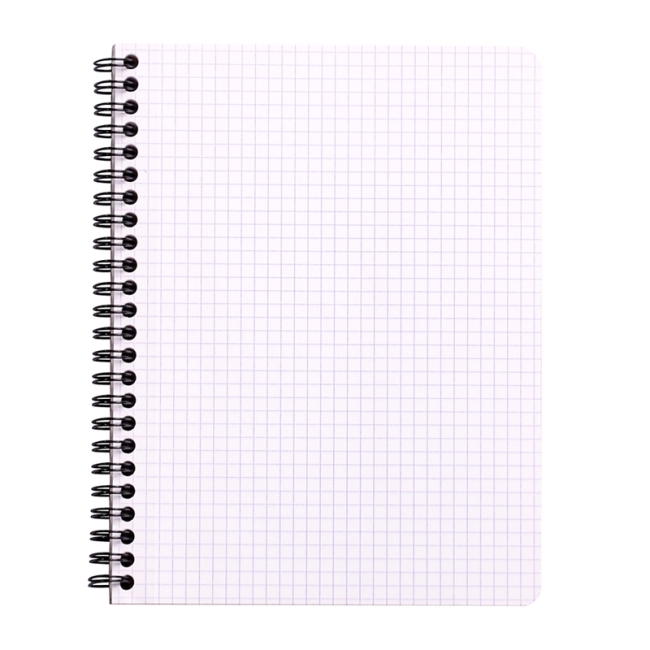 Тетрадь 80л., А5+, клетка на гребне Rhodia "Classic. White", 80г/м2 Тетрадь 80л., А5+, клетка на гребне Rhodia "Classic. White", 80г/м2