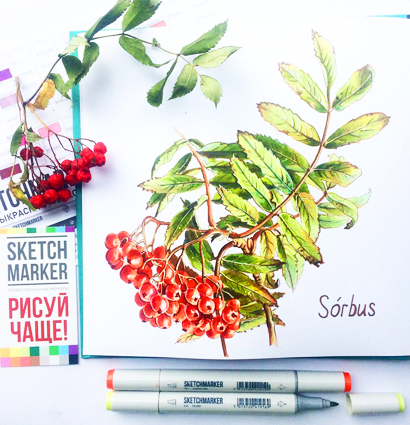 Набор маркеров Скетчмаркер / Sketchmarker "Basic 3 - Базовый набор" 12 цветов в сумке купить в магазине маркеров для рисования ArtCraft.Space с доставкой по РФ и СНГ