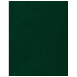 Тетрадь 96л., А4 клетка BG, бумвинил, зеленый