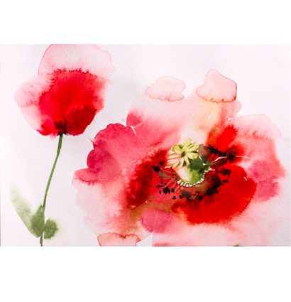 Бумага для акварели Малевичъ White Swan Fin мелкозернистая 50 х 70 см/ 10 листов / 200 гм купить в художественном магазине ArtCraft.Space с доставкой по всему миру Бумага для акварели Малевичъ White Swan Fin мелкозернистая 50 х 70 см/ 10 листов / 200 гм купить в художественном магазине ArtCraft.Space с доставкой по всему миру