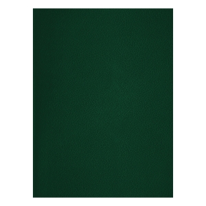 Тетрадь 48л., А4 клетка BG, бумвинил, зеленый