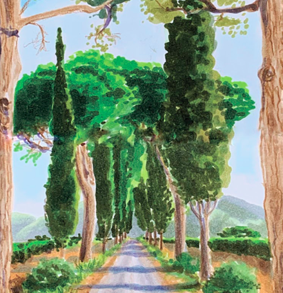 Набор маркеров Скетчмаркер / Sketchmarker "Basic 4 - Базовый набор" 36 цветов в сумке купить в магазине ArtCraft.Space с доставкой по всему миру