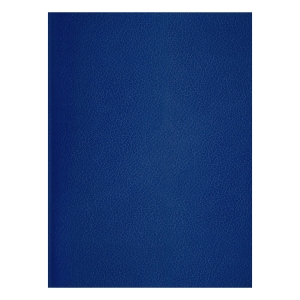 Тетрадь 48л., А4 клетка BG, бумвинил, синий