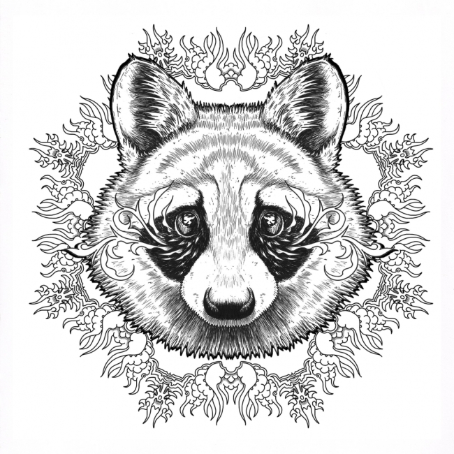 Мандалы ( книжка-раскраска) Chameleon