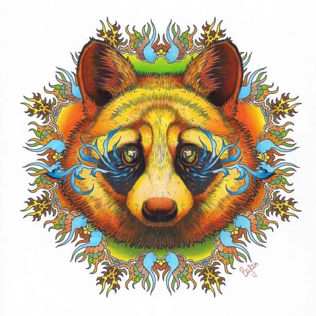 Мандалы ( книжка-раскраска) Chameleon