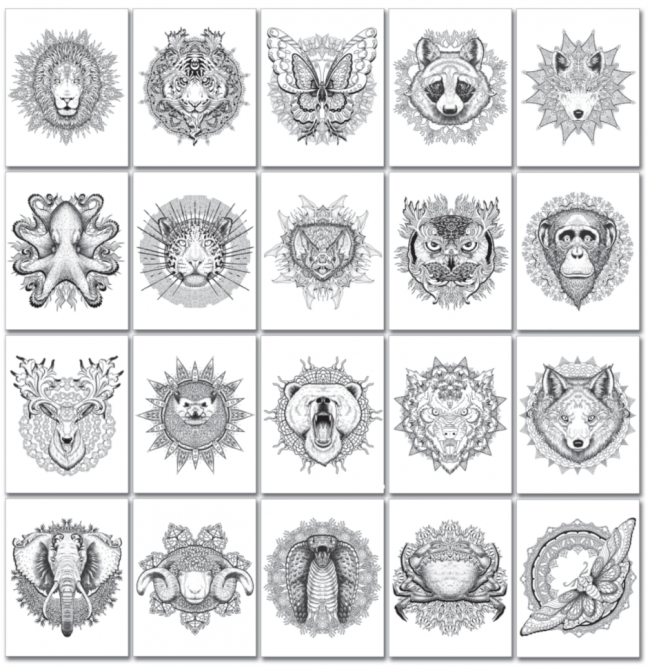 Мандалы ( книжка-раскраска) Chameleon