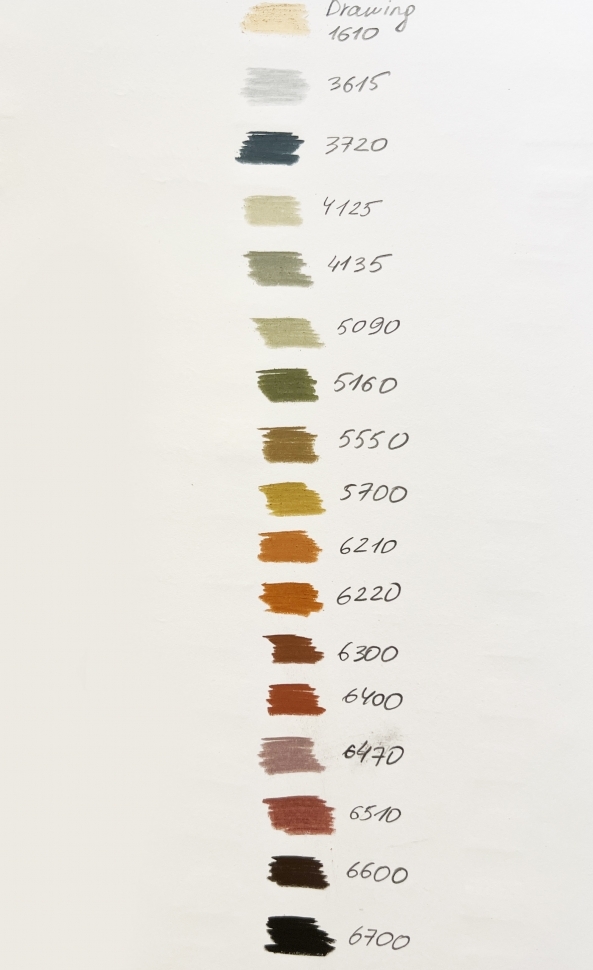 Набор цветных карандашей природных оттенков Derwent Drawing 24 в пенале купить в магазине товаров для рисования ArtCraft.Space с доставкой по РФ и СНГ