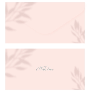 Конверт для денег MESHU "Peach", 85*164мм, soft-touch, фольга