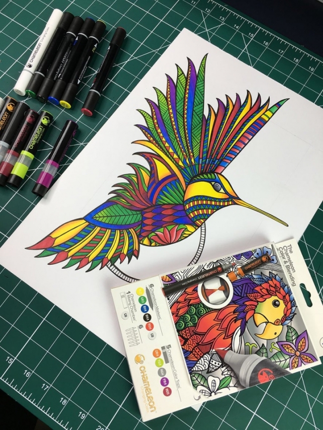 Набор "цвет и смешивание" Chameleon #1