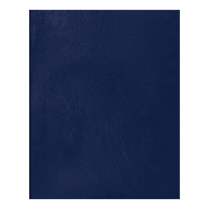 Тетрадь 48л., А5 клетка BG, бумвинил, синий