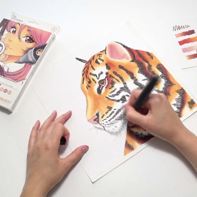 Набор "цвет и смешивание" Chameleon #4