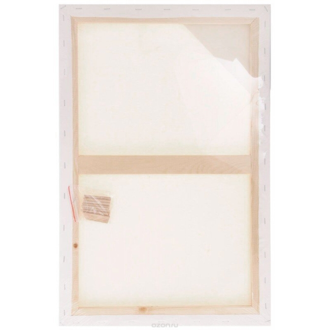 Холст на подрамнике грунтованный Малевичъ 40х80 см / среднее зерно / 100% хлопок купить в художественном магазине ArtCraft.Space с доставкой по всему миру