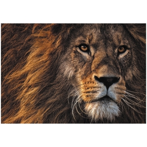 Пазл 500 эл. ТРИ СОВЫ "Царь зверей" Пазл 500 эл. ТРИ СОВЫ "Царь зверей"