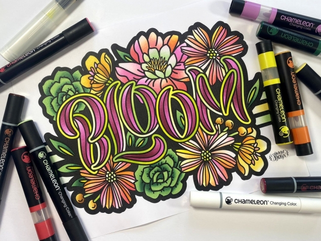 Набор "цвет и смешивание" Chameleon #7