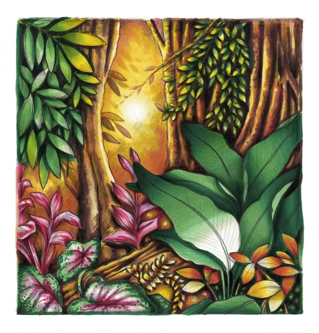 Набор "цвет и смешивание" Chameleon #7